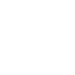 Money Icon